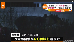 <b>熊经常出没于北海道？当地狩猎协会：瞄准了村民垃圾里的食物</b>